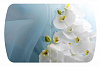 Стол обеденный раскладной Бостон-3 опора брифинг-хром (Белая орхидея)