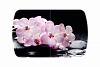Стол обеденный Бостон на опоре брифинг-хром (Розовая орхидея)
